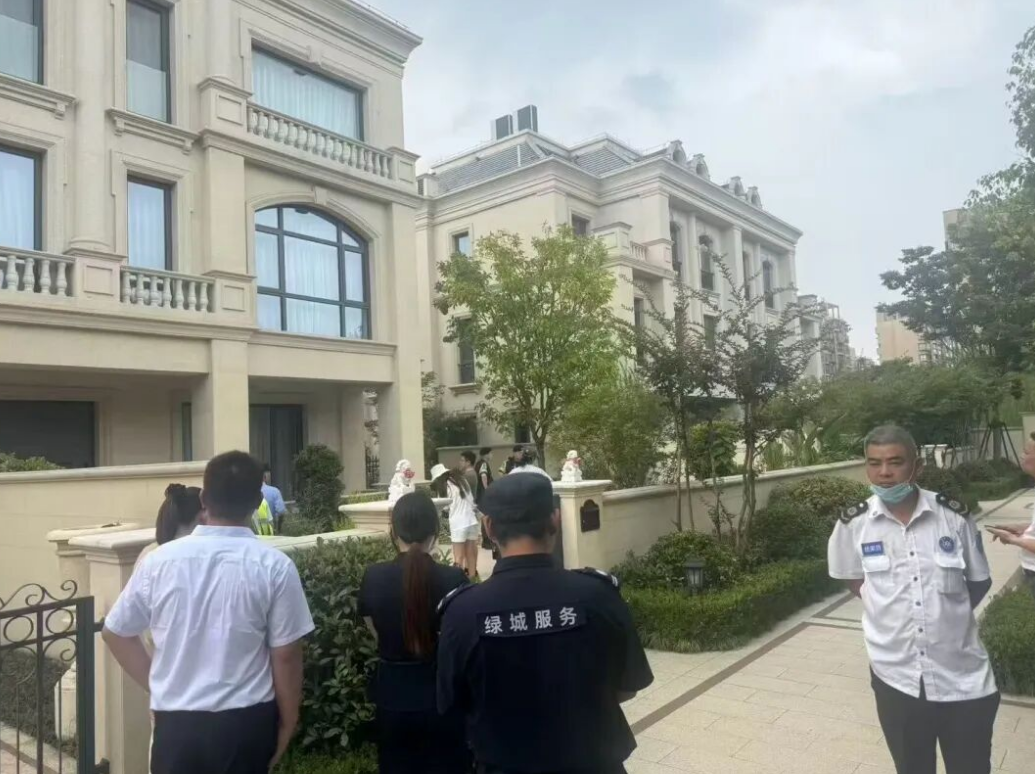 原文相关图片6