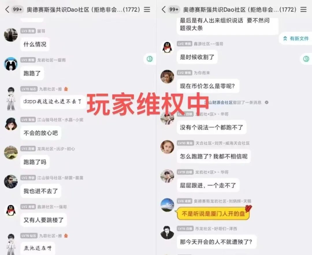 原文相关图片4